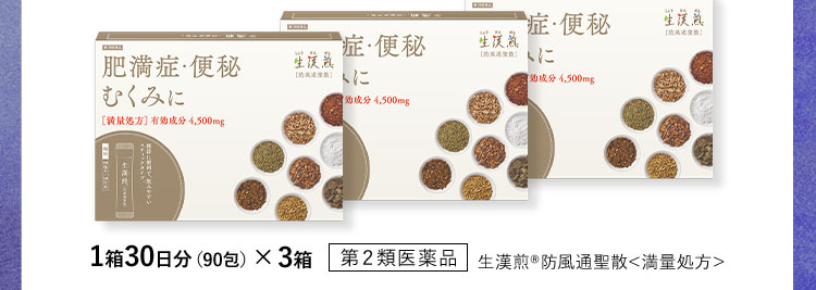 1箱30日分(90包) ×3箱 第2類医薬品 生漢煎防風通聖散＜満量処方＞