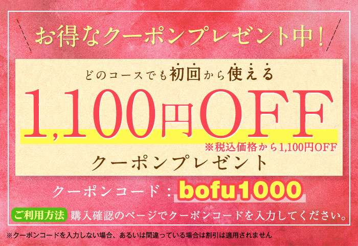 初回から使える期間限定1000円OFFクーポンプレゼント