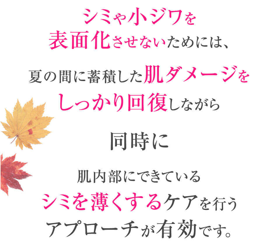 シミや小ジワを表面化させないためには、夏の間に蓄積した肌ダメージをしっかり回復しながら同時に肌内部にできているシミを薄くするケアを行うアプローチが有効です。