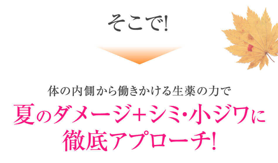 そこで!体の内側から働きかける生薬の力で夏のダメージ+シミ・小ジワに徹底アプローチ!