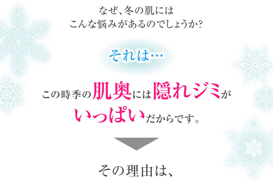 なぜ、冬の肌にはこんな悩みがあるのでしょうか?それは…この時季の肌奥には隠れジミがいっぱいだからです。その理由は、
