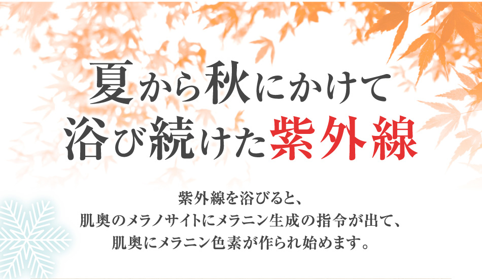 夏から秋にかけて浴び続けた紫外線。紫外線を浴びると、肌奥のメラノサイトにメラニン生成の指令が出て、肌奥にメラニン色素が作られ始めます。