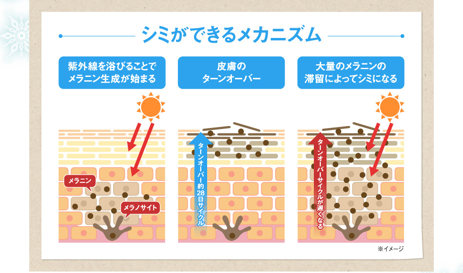 シミができるメカニズム
