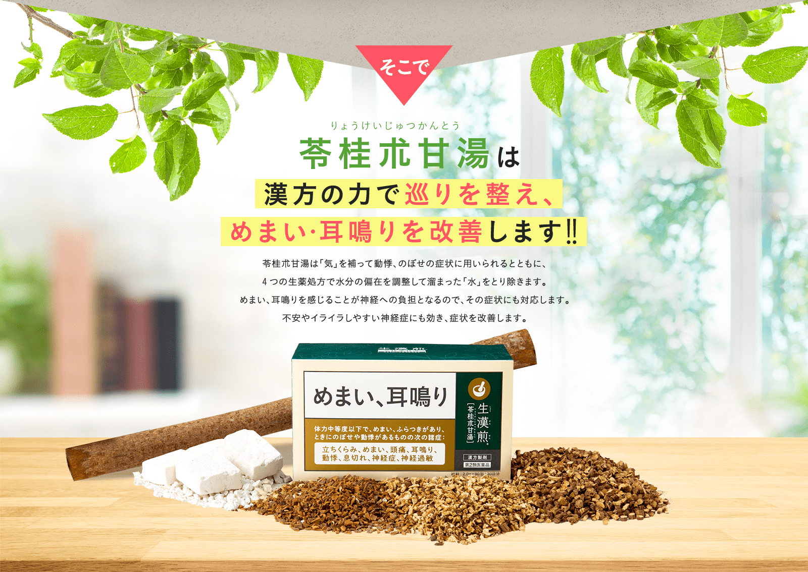 生漢煎 生漢煎（しょうかんせん） 公式サイト｜お悩みから探せる漢方
