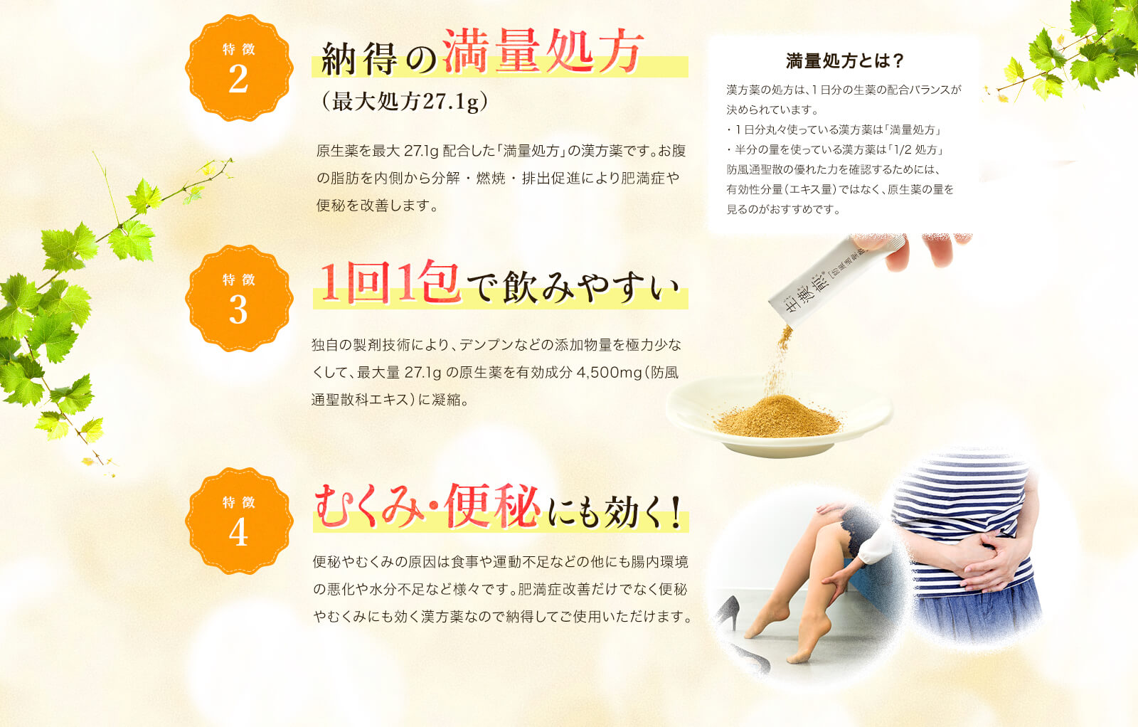 生漢煎 防風通聖散 お腹の脂肪を分解 燃焼 Jfdオンラインショップ ジェイフロンティア株式会社